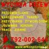 Cięcie, Wycinka drzew, karczowanie pni rozbiórki wyburzenia - 3