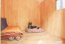 Hotel REMIK domowa opieka dla psów kotów gryzoni Piaseczno