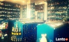 Salon Win i Alkoholi - Nowowiejska 5 Warszawa - 2