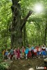 zielone szkoły, wycieczki szkolne, integracja - 5