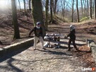 zielone szkoły, wycieczki szkolne, integracja - 4