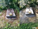 Sprzątanie grobów przed 1 listopada Jelenia Góra i okolice