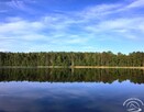 Wynajmę domki letniskowe / apartamenty - 8
