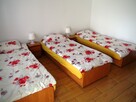 Wynajmę domki letniskowe / apartamenty - 3