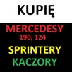 Skup aut toyota corolla hiace mercedes 190 sprinter, kaczka - 13