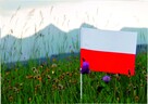 Chorągiewki polskie - 10