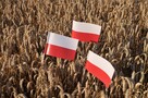 Chorągiewki polskie - 3