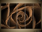 OBRAZY, Brązowa róża, obraz na płótnie, Canvas, dużo wzorów - 5