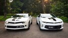 Camaro 2015 - *Biała* Perła oraz Camaro 2016RS - Prowadź Sam - 2