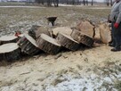 Wycinka drzew i krzewów - 2