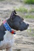 AMSTAFF Reproduktor import Rosja ZKwP FCI - 6