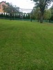 Pielęgnowanie ogrodu. Koszenie trawy, grabienie liści - 5