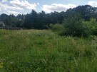 Pielęgnowanie ogrodu. Koszenie trawy, grabienie liści - 3