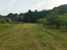 Pielęgnowanie ogrodu. Koszenie trawy, grabienie liści - 4