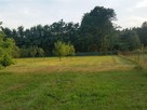 Pielęgnowanie ogrodu. Koszenie trawy, grabienie liści - 2