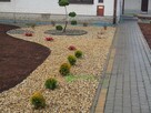 Projektowanie, zakładanie, pielęgnacja, modernizacja ogrodu - 2