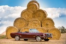 Ford Mustang 1968 Cabrio - Złoty