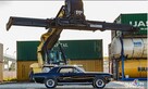 Ford Mustang GT z 67 roku, samochód zabytkowy, na ślub - 4
