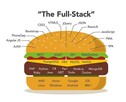 Programista PHP, JavaScript