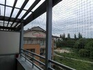 Siatka dla KOTA, siatka na balkon ZIELONA GÓRA - 2