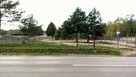 Wynajmę działkę plac 2000m2 przy trasie Warszawa -Nieporęt - 5