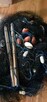 Sieci rybackie wonton żak drgawica przywłoka włoka niewód sł - 6