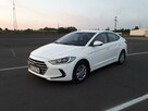 Wypożyczalnia autolawet i lawet CARSON Kalisz - 4