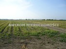 Działka budowlana Grodzisk Mazowiecki Chlebnia - 1