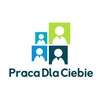 Pracownik produkcji palet bez języka - praca w Niemczech