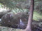 DZIAŁKI REKREACYJNE ORLE - JEZIORO GŁUSZYŃSKIE - 5