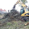 Wycinka drzew Gdańsk Gdynia Sopot Kartuzy - 16