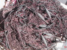 siec rybacka sieci rybackie siatka na ryby siatki włok niewó - 4