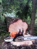 Wycinka drzew Koszenie traw karczowanie dzialek usługi rębak - 2