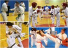 Treningi Karate Kyokushin - Bydgoszcz - 2