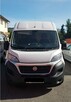 Wynajem busa dostawczego Fiat Ducato L4H2 wypożyczalnia