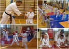 Treningi Karate Kyokushin - Bydgoszcz - 4