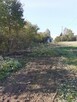 Karczowanie drzew Gorlice, Rzeszów, Dębica - 15
