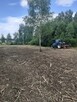 Karczowanie drzew Gorlice, Rzeszów, Dębica - 5
