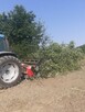 Karczowanie drzew Gorlice, Rzeszów, Dębica - 6