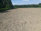 Karczowanie drzew Gorlice, Rzeszów, Dębica - 2