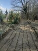 Czyszczenie działek Gorlice, Tarnów, Jasło - 8