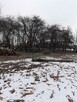 Karczowanie drzew Gorlice, Rzeszów, Dębica - 11