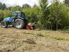 Karczowanie drzew Gorlice, Rzeszów, Dębica - 8