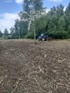 Karczowanie drzew Gorlice, Rzeszów, Dębica - 4