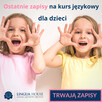 Lektor Angielski Dzieci KATOWICE szkoła lub Online