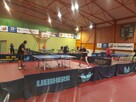 Grupowe treningi TENISA STOŁOWEGO-Kaczor Table Tennis School - 4