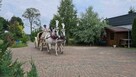 Agroturystyka Podlasie - 4