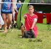 York Yorkshire Terrier ZKwP FCI - 5