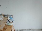 Posesja pow. Miński do sprzedania. - 11