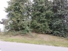 Laski gm. Zbójna działka 2500m2 - 4
